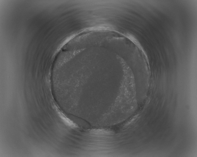 X0000080770389200701122101