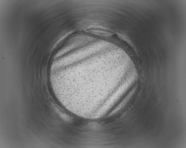 X0000080770390200701122101
