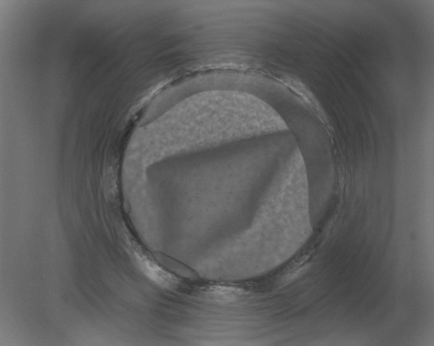 X0000080770393200701122101