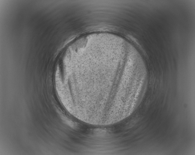 X0000080770394200701122101