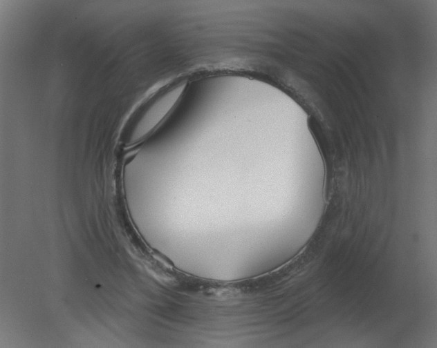 X0000080770395200701122101