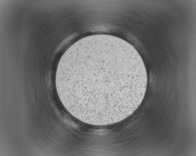 X0000080770396200701122101
