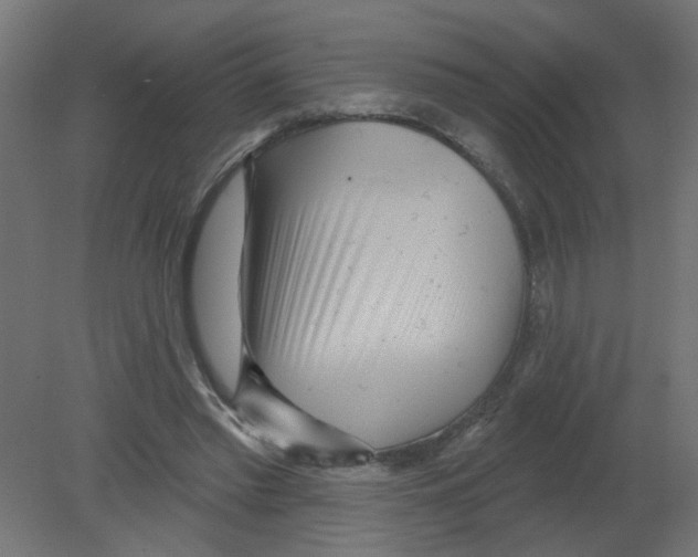 X0000080770397200701122101