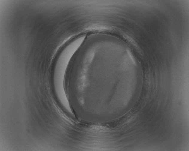 X0000080770399200701122101