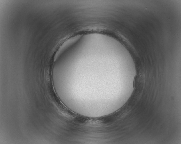 X0000080770403200701122101