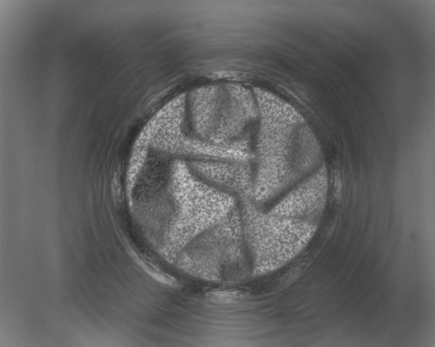 X0000080770408200701122101