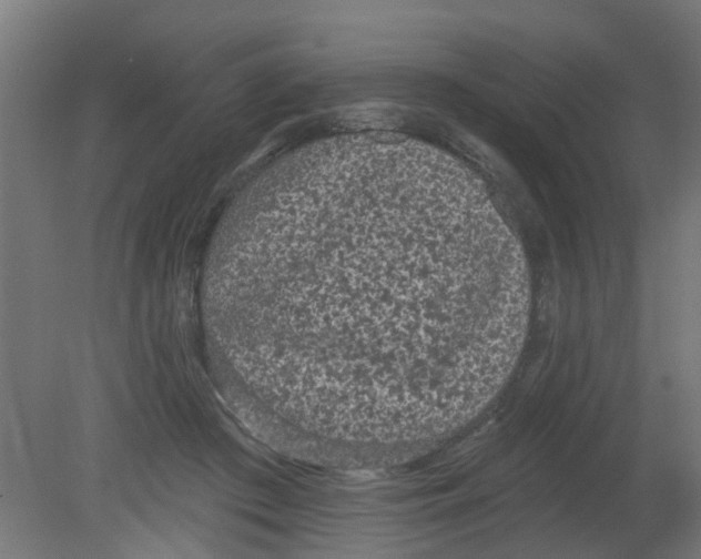 X0000080770409200701122101
