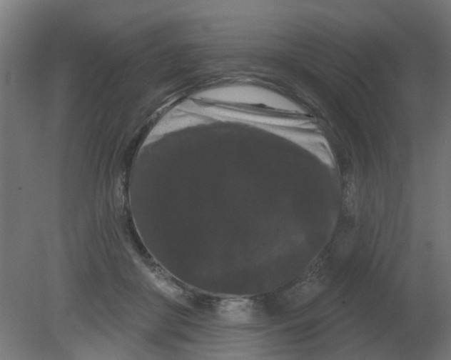 X0000080770410200701122101