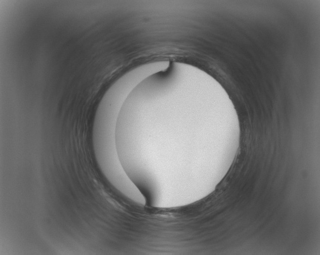 X0000080770411200701122100