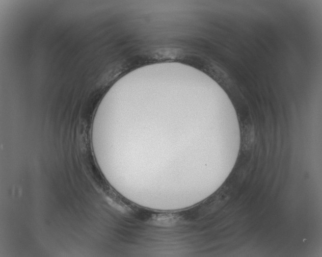 X0000080770414200701122100