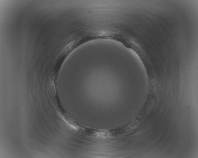X0000080770415200701122100