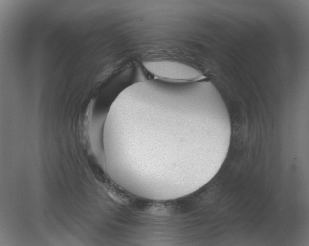 X0000080770416200701122100