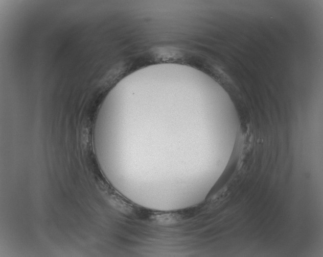 X0000080770417200701122100