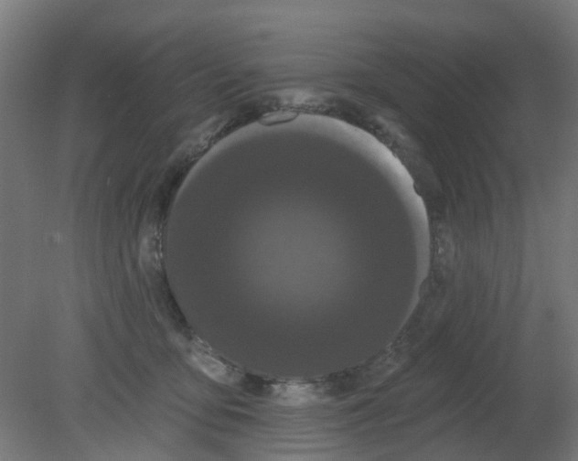 X0000080770419200701122100