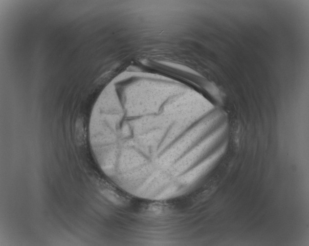 X0000080770420200701122100