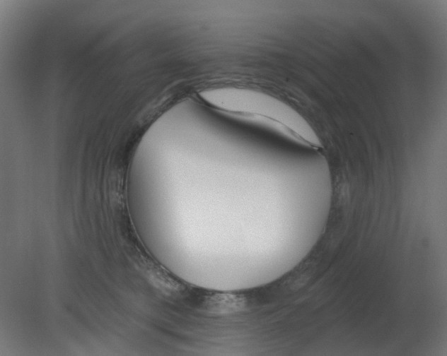 X0000080770421200701122100