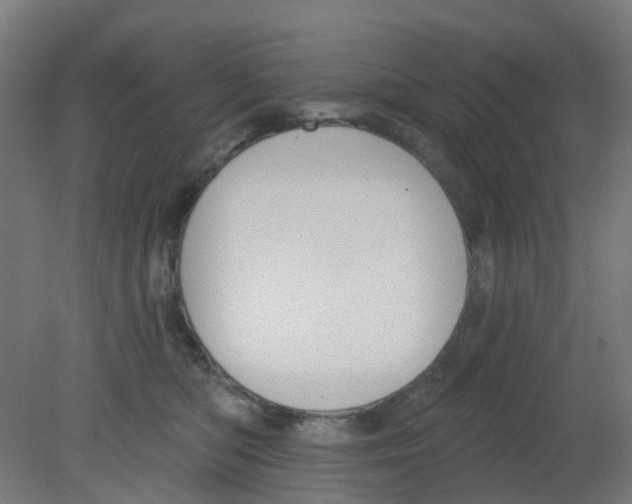X0000080770422200701122100
