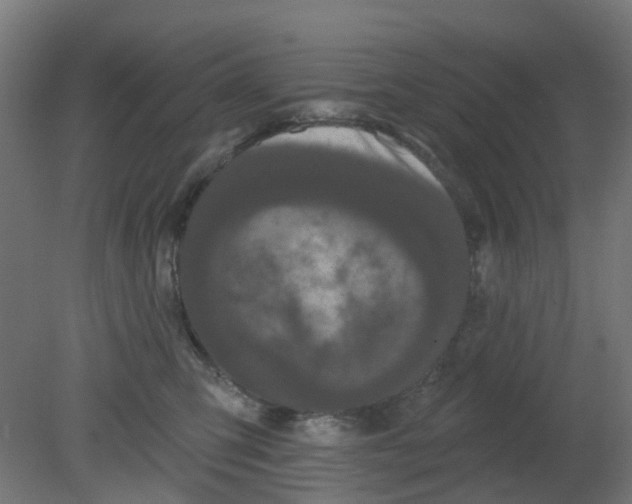 X0000080770423200701122100