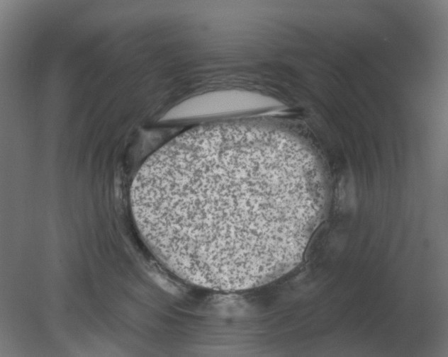 X0000080770424200701122100