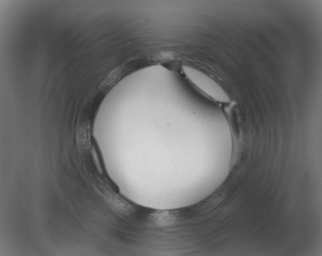 X0000080770425200701122100