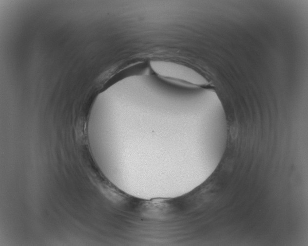 X0000080770429200701122100