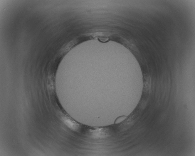 X0000080770430200701122100