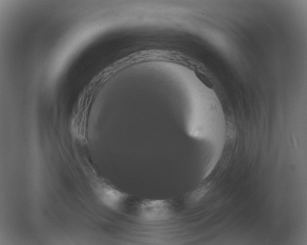 X0000080770431200701122100