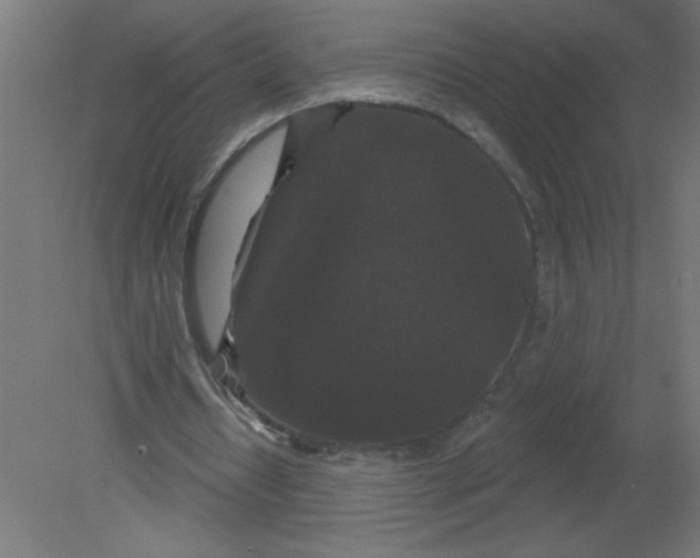 X0000080770434200701122059