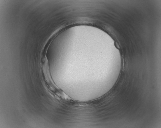 X0000080770435200701122059