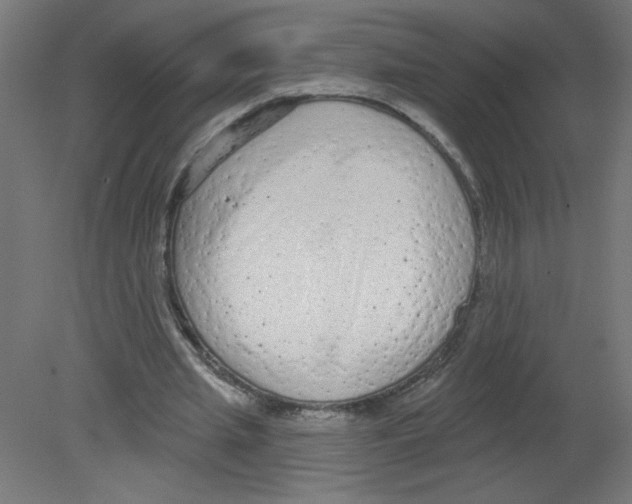X0000080770437200701122059