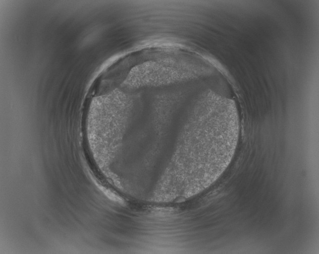 X0000080770438200701122059