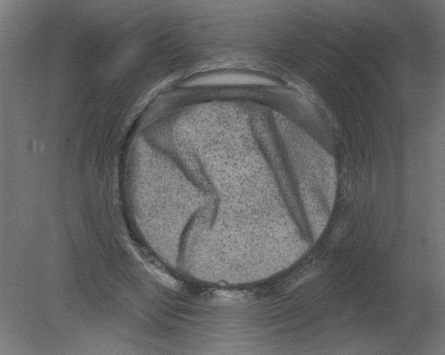 X0000080770442200701122059