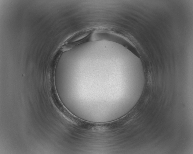 X0000080770444200701122100