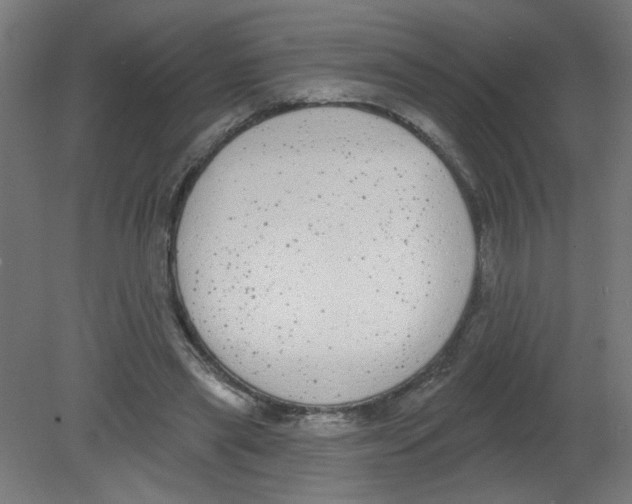 X0000080770445200701122100