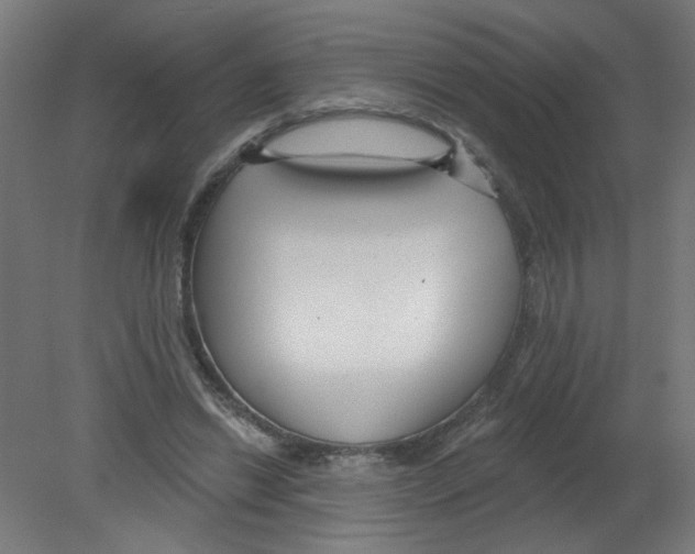 X0000080770446200701122100