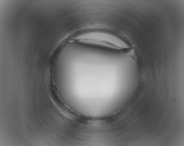 X0000080770448200701122100
