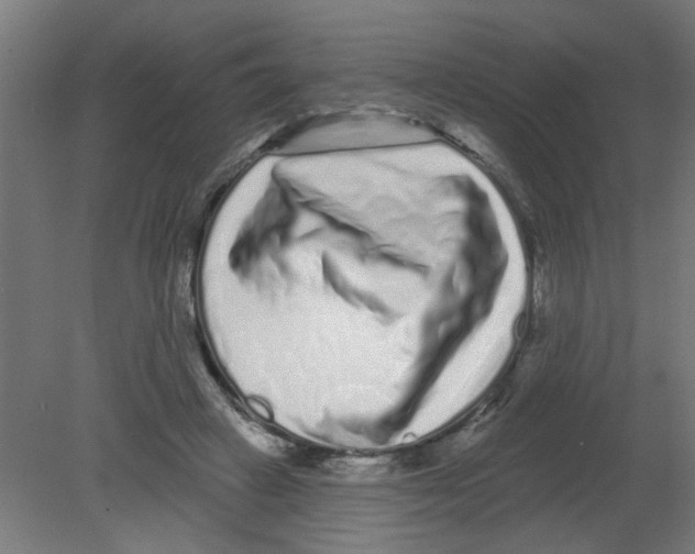 X0000080770449200701122100