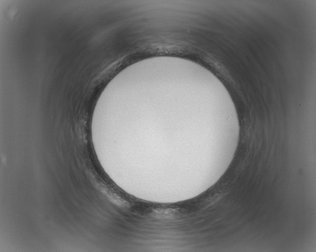 X0000080770450200701122100