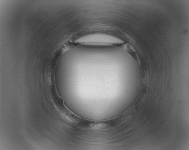 X0000080770452200701122100