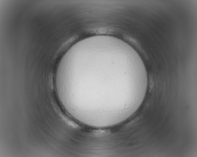 X0000080770453200701122100