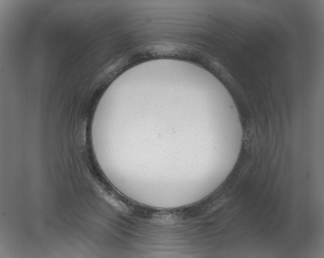 X0000080770454200701122100