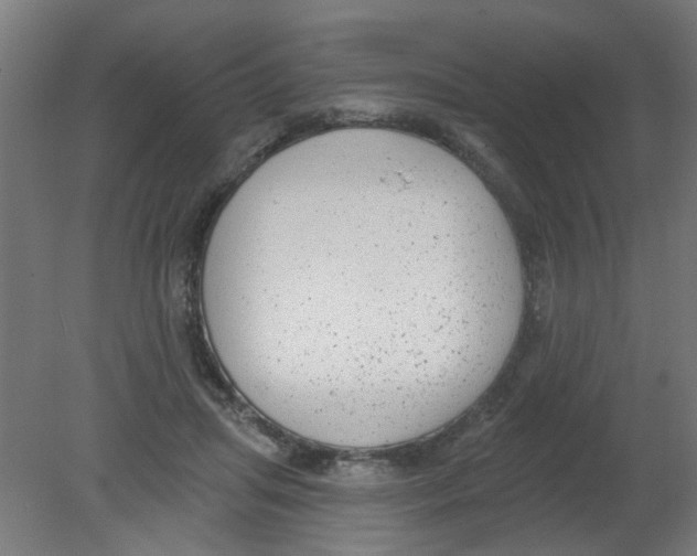 X0000080770455200701122100