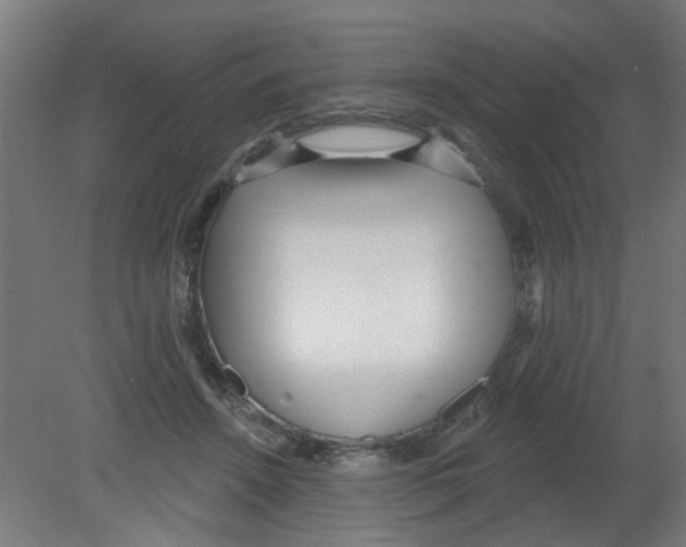 X0000080770456200701122100