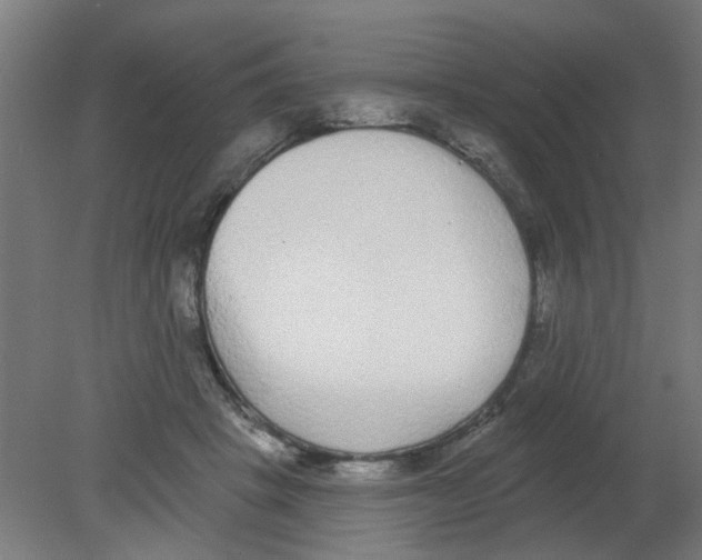 X0000080770457200701122100