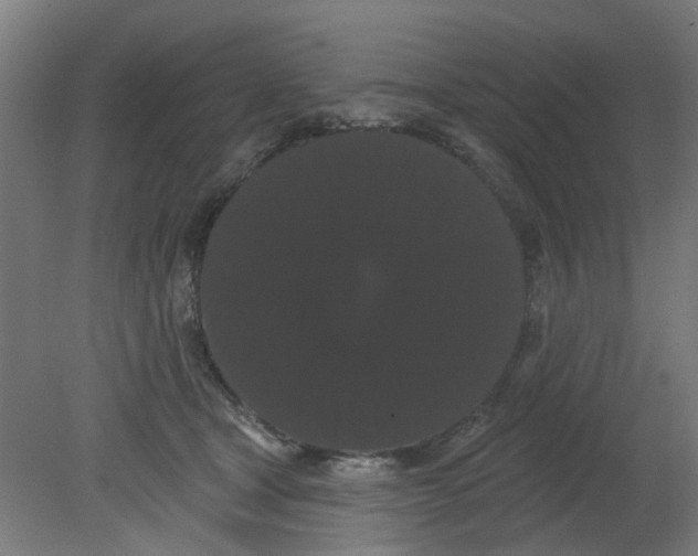 X0000080770465200701122100