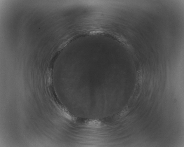 X0000080770471200701122100