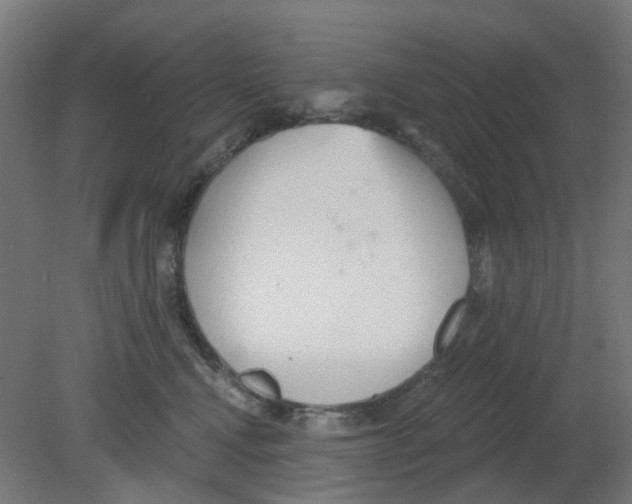 X0000080770472200701122100