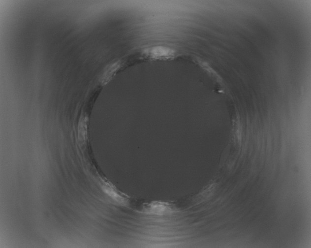 X0000080770475200701122100