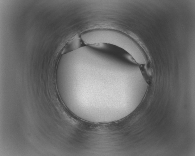 X0000080770481200701122059