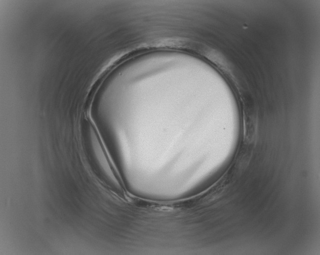 X0000080770483200701122059
